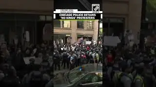 Chicago police detains demonstrators as anti-Trump &lsquo;No King&rsquo; protests take over US after army parade