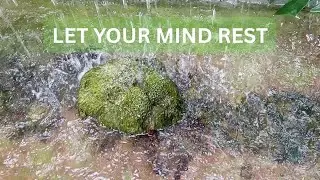 Soft Fountain Water Sounds for Deep Relaxation & Stress Relief | 10 Minutes