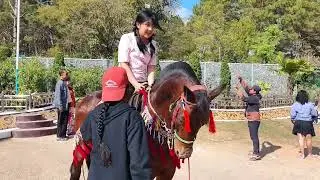 Kalaw