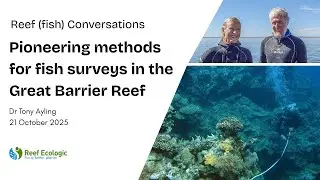 Reef (fish) Conversations - Pioneering methods for fish surveys in the Great Barrier Reef