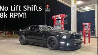 POV No Lift Shifting my FBO 5.0 Mustang!