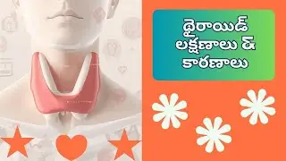 Interesting Facts About Thyroid in Telugu