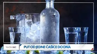 Alkoholizam - put od jedne čašice do zavisnosti I TRAŽIM REČ