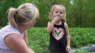 Visit Strawberry Farms in Johnston County, NC