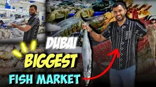 துபாயின் பெரிய மீன் மார்கட் | DUBAI BIGGEST FISH MARKET ||waterfront market dubai exploring in tamil