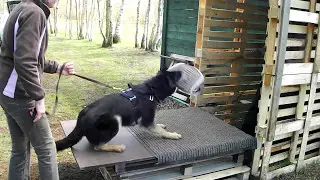 Xtra Oger Schloss (7 Mo. alt)
