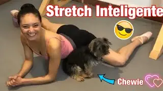 * ¡STRETCH INTELIGENTE !  Estiramientos y Ejercicios * / Rutina completa PRINCIPIANTES e INTERMEDIOS