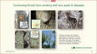 Nottinghamshire&rsquo;s Woods and Forests &ndash; Looking Forward - David White (Notts BAG Forum 2025)