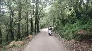Ride to George Everest from Bhadraj Mandir  🌲🌲   #rider #trip #share