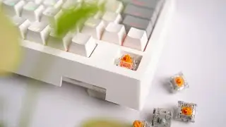 One keyboard that can do everything || Tecware Phantom+ Elite bangla review!