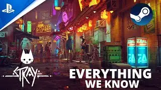 Stray PS5 Game Details, Release Date And Trailer: All We Know So Far