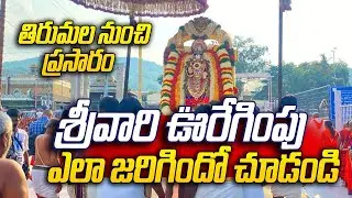 ఊరేగింపు | Tirumala venkateswara swami | varahi talks