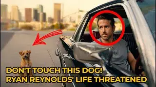 DON'T TOUCH THIS DOG! Ryan Reynolds' Life THREATENED (Mysterious Call EXPOSED EVERYTHING)