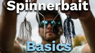 How to pick THE RIGHT SPINNERBAIT