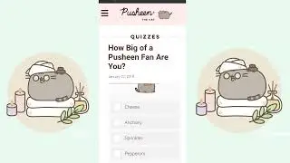 🍪☆How big of a pusheen fan are you?☆🤎pusheen quiz♡