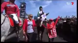2015 Melbourne Cup - PRINCE OF PENZANCE