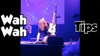 My Ego And A Wah Wah Pedal