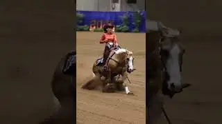 2025 (Found Love Ina Bar) NRHA Derby Draw 44