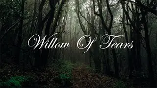 Willow Of Tears ~ Amberian Dawn (T&uuml;rk&ccedil;e &Ccedil;eviri)