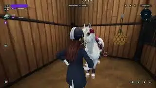 Selling SSO account | Lifetime Star Rider | 9887 Star Coins in account | Soul Riding Horse and more+