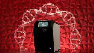 Automated Maxiprep Plasmid Purification from Thermo Fisher Scientific 2024