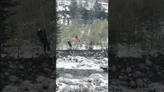 Zip line In Solang Valley Manali || Manali Tour #Zipline #solangvalleytoday #manalitoday #ADVENTURE