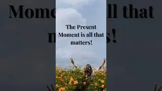 The Present Moment is all that matters! #buddhaquotes #motivation #mindfullnesspractice