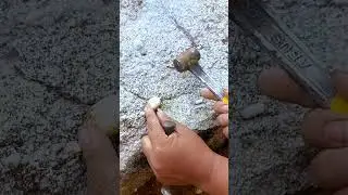 AMAZING INSIDE STONES 😱🔥‼️
