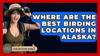Where Are The Best Birding Locations In Alaska? - Bird Watching Diaries