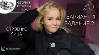 СБОРНИК РОХЛОВА 2023: вариант 1, задание 21