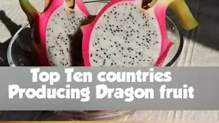 Top Ten countries produce dragon fruit 2020| world wide top ten countries list| SRS TOP TENZ