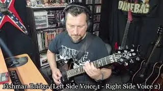 PRS with Seymour Duncan Vs Fishman Fluence Pickups