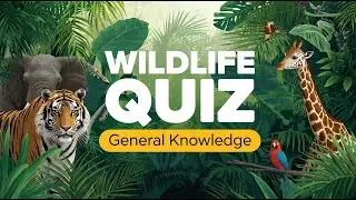 Wildlife Quiz 🦁 | Can You Guess These Amazing Animals? #quiz #testyourknowledge #facts #online #new