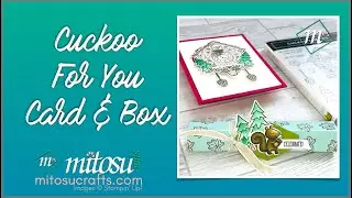 Cuckoo For You Card & Gift Box