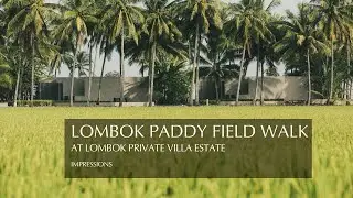 Discover the Untouched Paradise of #Lombok! Less People, More Beauty #travel