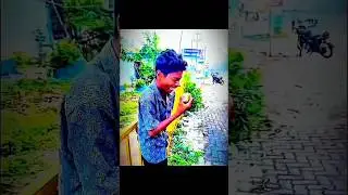 kitne bhai bhan ho tum🤣 #freefire #sort #free fire short video #funnysorts