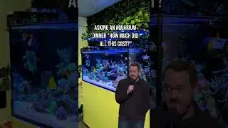 Comment if you spent too much on this hobby 😂💰 #reef #aquarium #coral #fishtank #theaquariumgiveaway