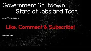 Surviving the government shutdown
