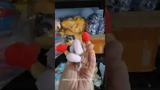 Hitmonchan Pel&uacute;cia Pok&eacute;mon Center Fit