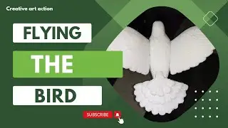Arts of birds | Creative Art Action