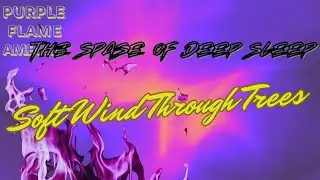 The Space of Deep Sleep 7 &ndash; Soft Wind Through Trees