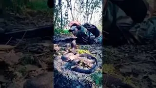 Gorkha v/s snake 🐍🐍Soldier vs Snake & Viral Video l #shorts nsg#commando#indianarmy#army#trending