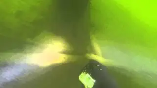 GoPro Camera Recovery Expedition: Exploring the Depths of Table Rock Lake, Missouri @@Deep6Marine