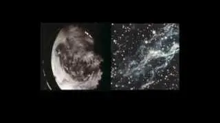 My Panda Shall Fly & Will Ward - Giant Shoe [OFFICIAL VIDEO]