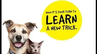 Pet Supplies Plus: Thundershirt