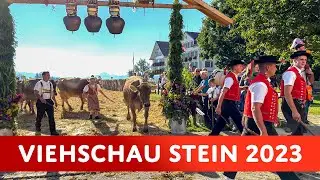 [Part 2] Cattle Show Stein 2023 | Young Breeders & Abloo (Return Home)