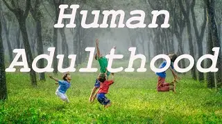 Human adulthood, Human childhood and fairytale enlightenment