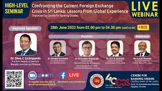 &ldquo;Confronting the Current Foreign Exchange Crisis in Sri Lanka: Lessons from Global Experience&rdquo;