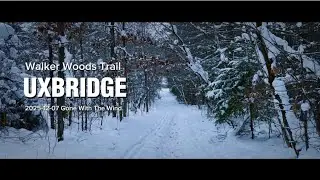 2025-12-07 Walker Woods Trail 雪地徒步人物篇。