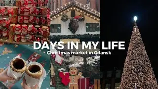 (eng) vlog | різдвяний ярмарок, подарунки, університет